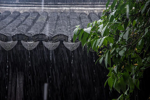 百汇梅雨.jpg